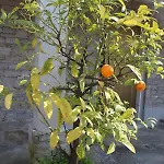 Διαμέρισμα Casa Pg Στρέσα