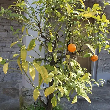 דירה Casa Pg סטרסה