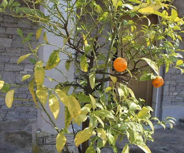 Apartment Casa Pg Stresa